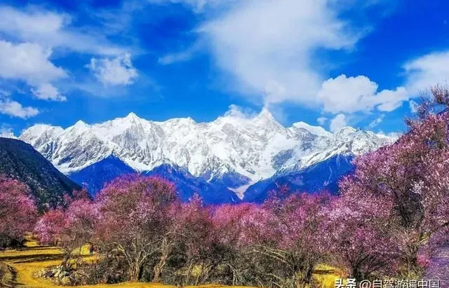 十个最适合三月旅游的景点去哪一个都不虚此行
