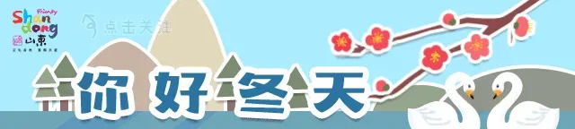 高品质、有格调，这几家神仙民宿太治愈！｜冬游齐鲁