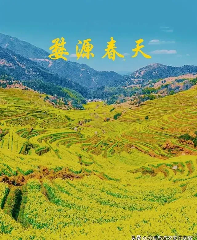 住婺源农家乐，赏油菜花美景