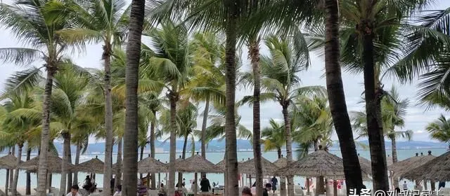 合肥到海南自驾游的一些个人经验分