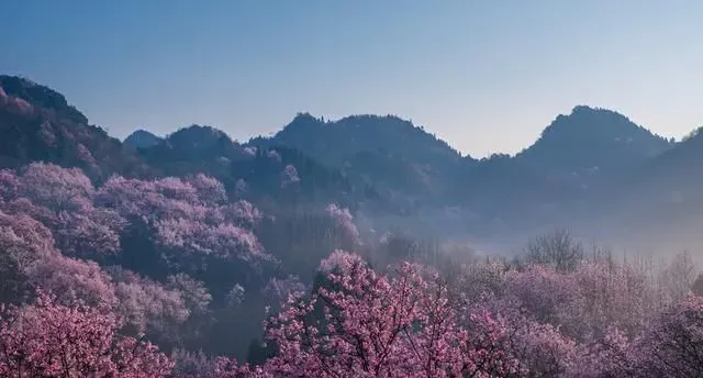 坐南京高铁1.8小时，安徽有个山谷，满