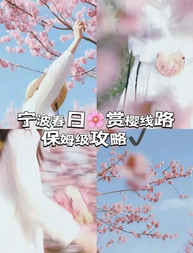 宁波小众赏樱路线攻略，看这篇就够啦！
