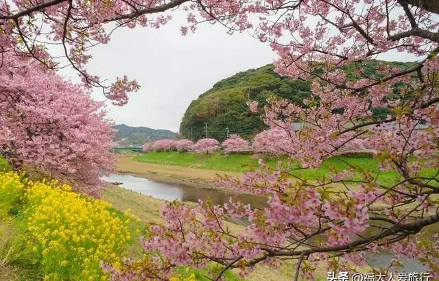从杭州到无锡，从扬州到盐城，踏青周边