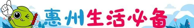 免费！惠州这几个风景好、适合遛娃的地方，最近很热闹