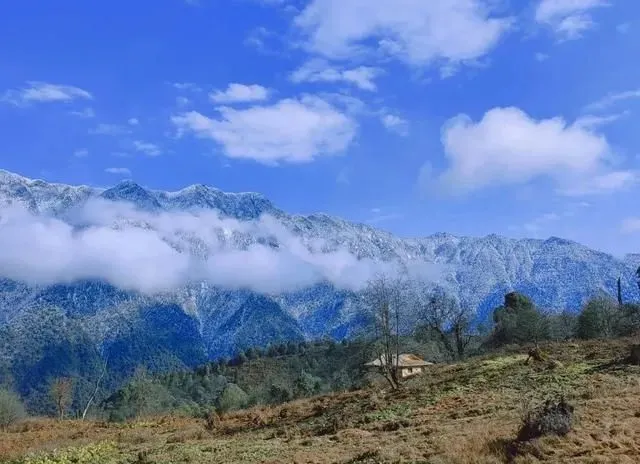 岁将近，赏黑竹沟冬日盛景