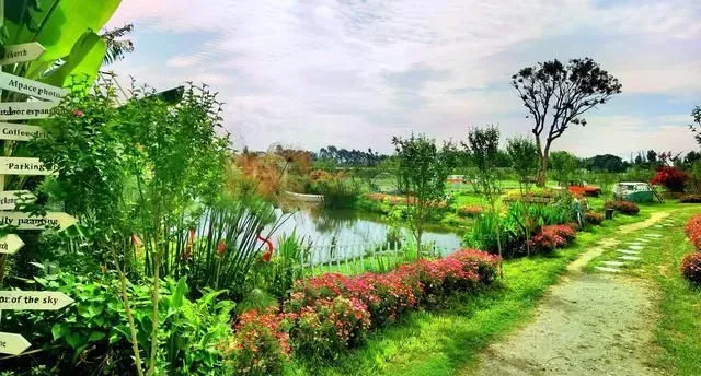 为什么各地都开始讨厌房车旅居自驾