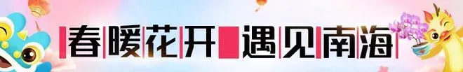 Chill叹南海，就在这场直播！本周六，齐齐打卡宝藏集市、网红营地→