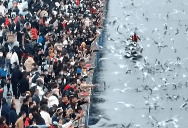 中国汽车旅行2022年度十大风云人物