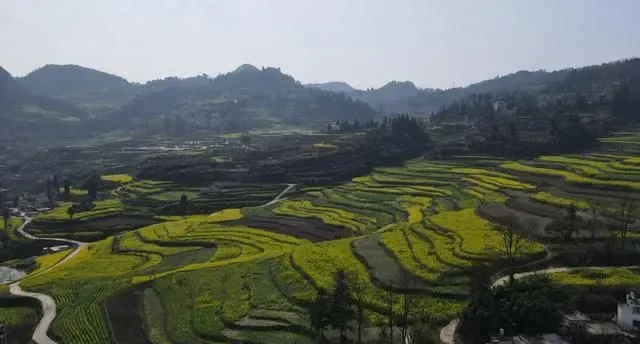 以花为媒 贵阳贵安玩出新&ldquo;花