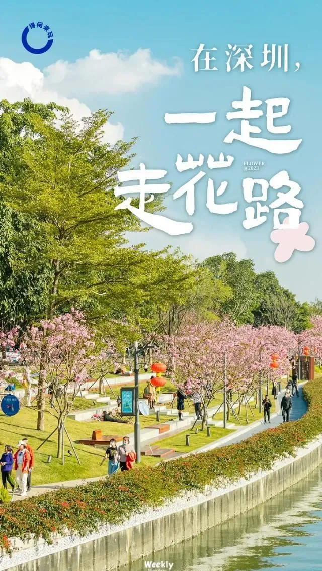 在深圳，一起&ldquo;走花路&rdquo;