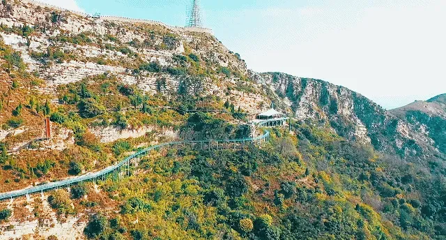 大山东 火的不止淄博烧烤，还有公子