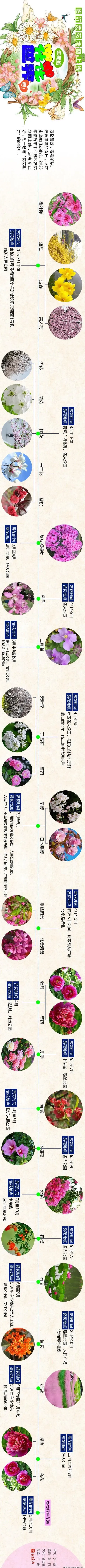 临沂赏花地图上线 去拥抱花花世界吧！