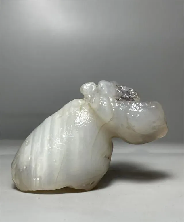 奇石动物世界