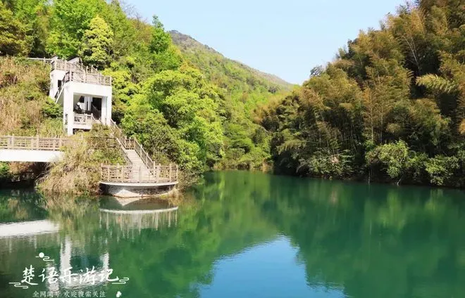 宁波最美登山打卡点，清溪流水和鲜花