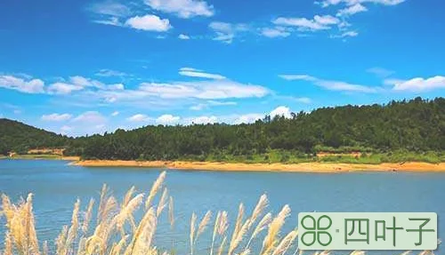 长沙避暑的好地方有哪些(长沙夏天避暑5大最佳旅游地)插图(3)