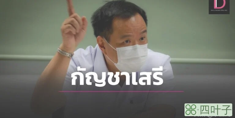 泰国卫长阿努廷强调大麻合法化(提醒政府人员勿阻碍民众谋生)