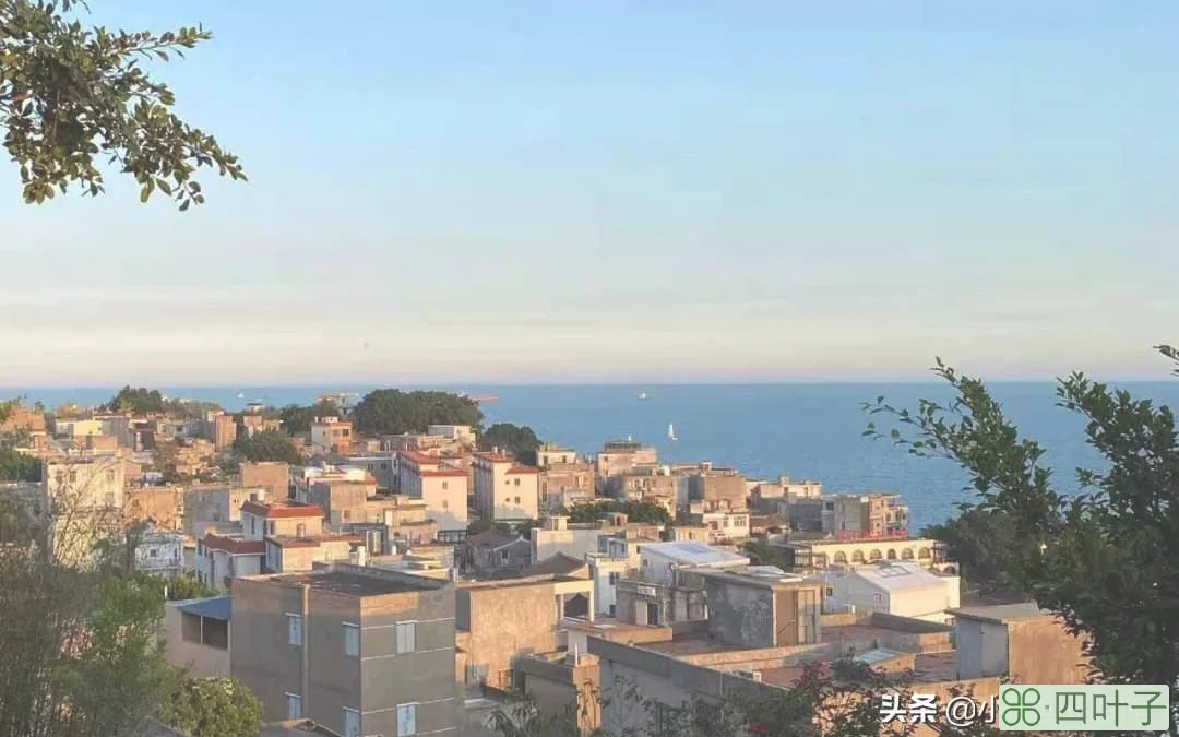 东山岛旅游攻略二日游(东山岛两日游最佳路线及攻略)