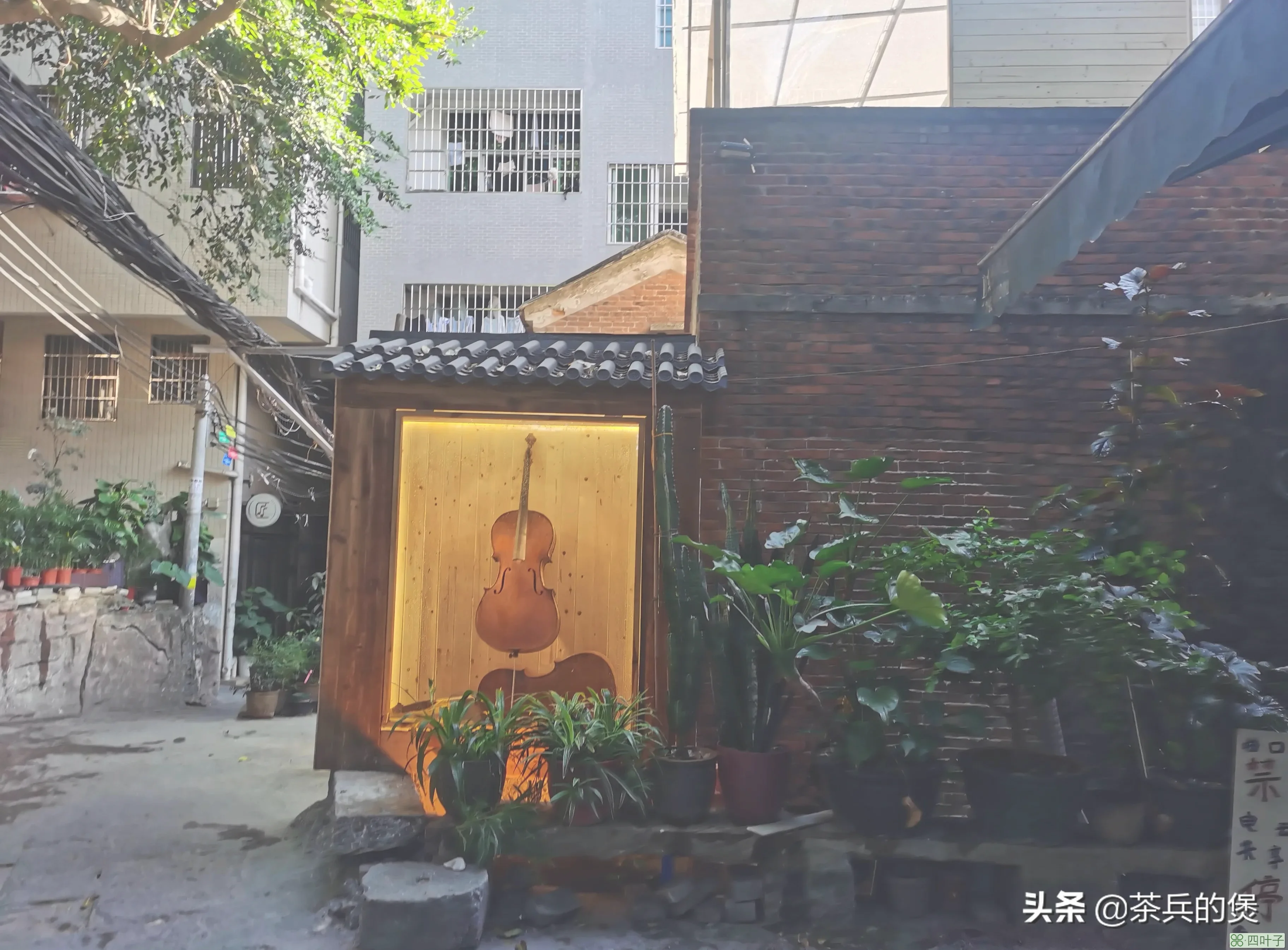 小洲村属于广州哪个区(广州小洲村简介)插图(4)
