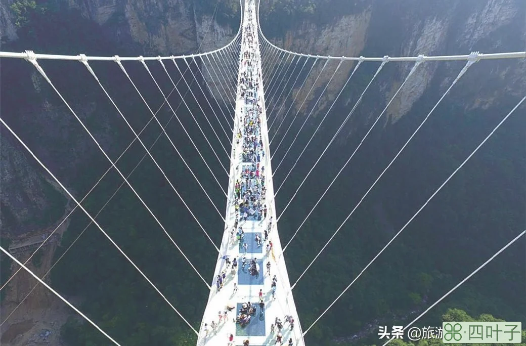 张家界旅游必看攻略(旅游攻略景点必去)插图6 张家界旅游必玩的4个景点,没去过等于白去,老司机的经验之谈