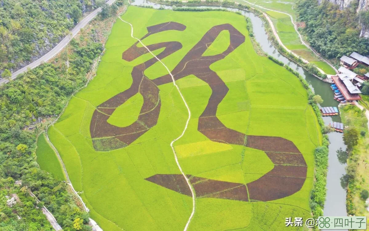 贵州旅游十大景点排名(贵州最值得去的旅游景点排名)