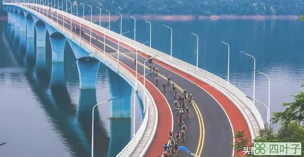 秋天总要去一次千岛湖 l 千岛湖秋游全攻略，建议收藏