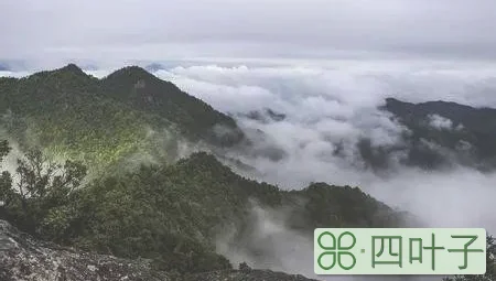 松溪白马山(福建白马山)