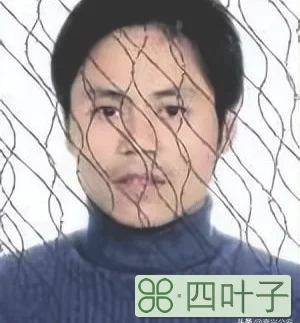 嘉兴市(浙江省嘉兴市嘉善县)