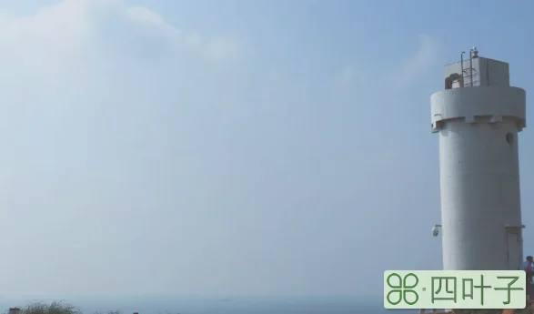 枸杞岛旅游攻略(枸杞岛自由行最全攻略)