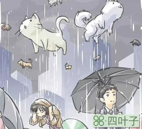 威士忌可以治疗感冒吗(威士忌治感冒的原理)