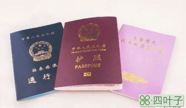 外出旅游必备物品清单(外出旅游必备的东西清单大全)