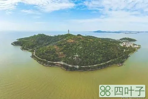 合肥有什么好玩的(合肥一日游最合适的地方)