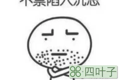 成都西岭雪山好玩吗(除了滑雪场就没其他好玩的地方)插图(4)