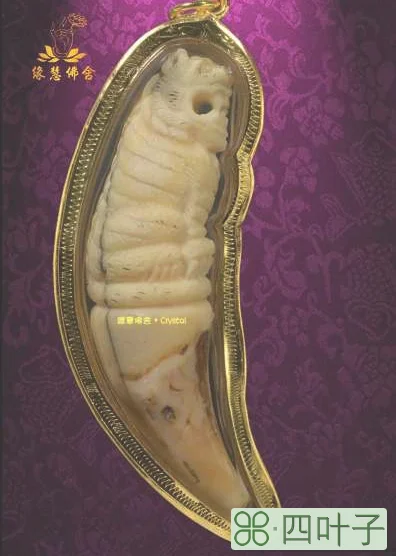 龙婆本佛历2538-2545大型猛兽牙虎王佛牌插图(1)