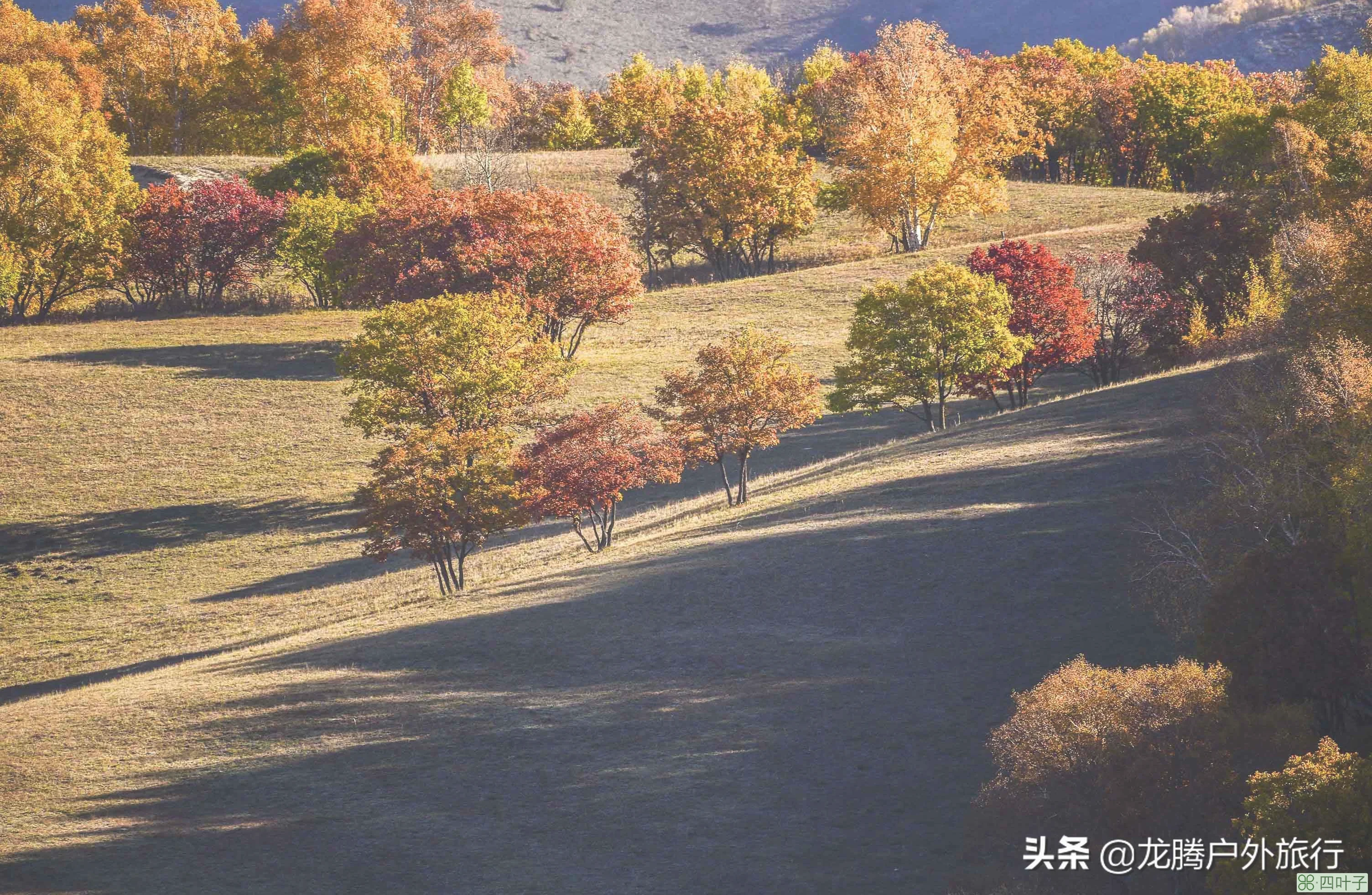 「阿泽带你玩内蒙」第17期：带你走进摄影圣地-乌兰布统草原