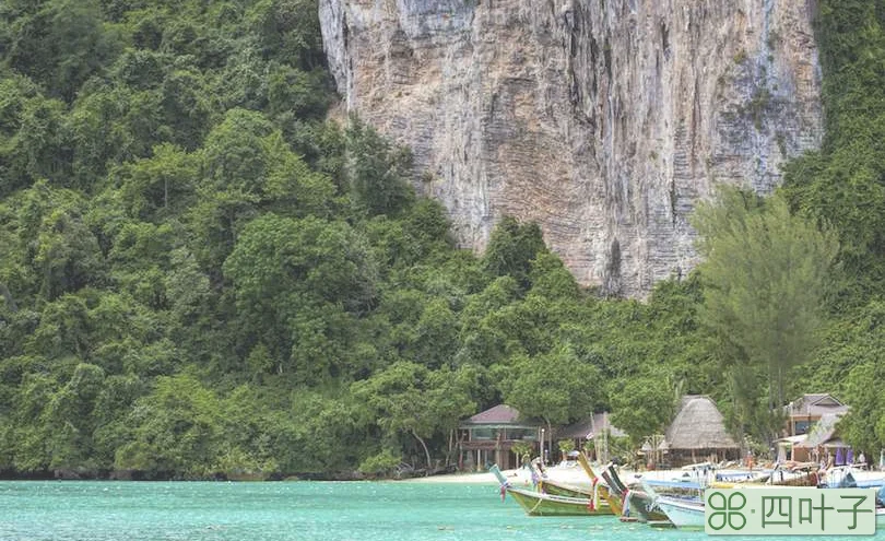 泰国甲米住宿推荐(甲米自助游住宿最全攻略)插图(2) 皮皮岛