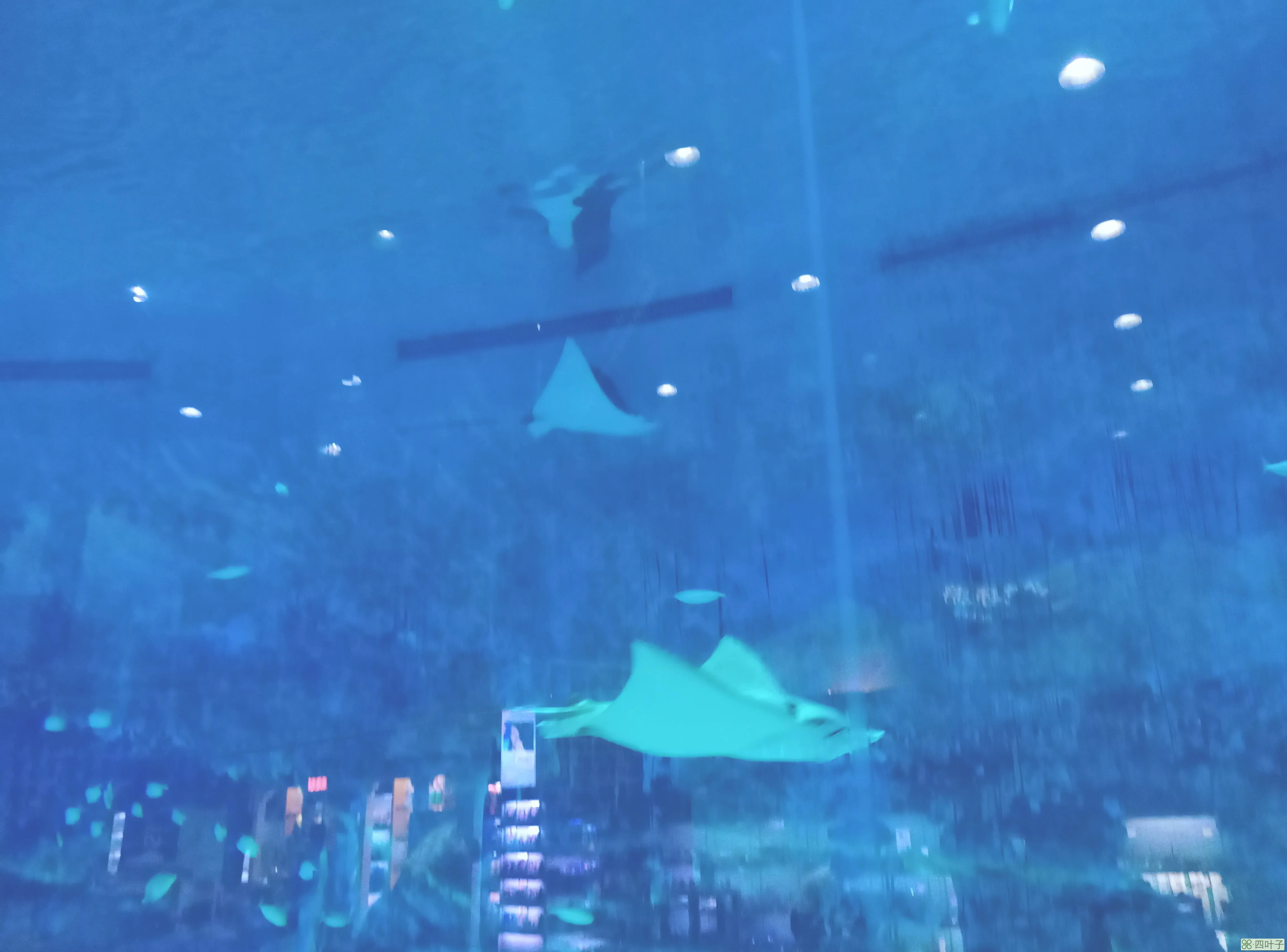 北京动物园海洋馆