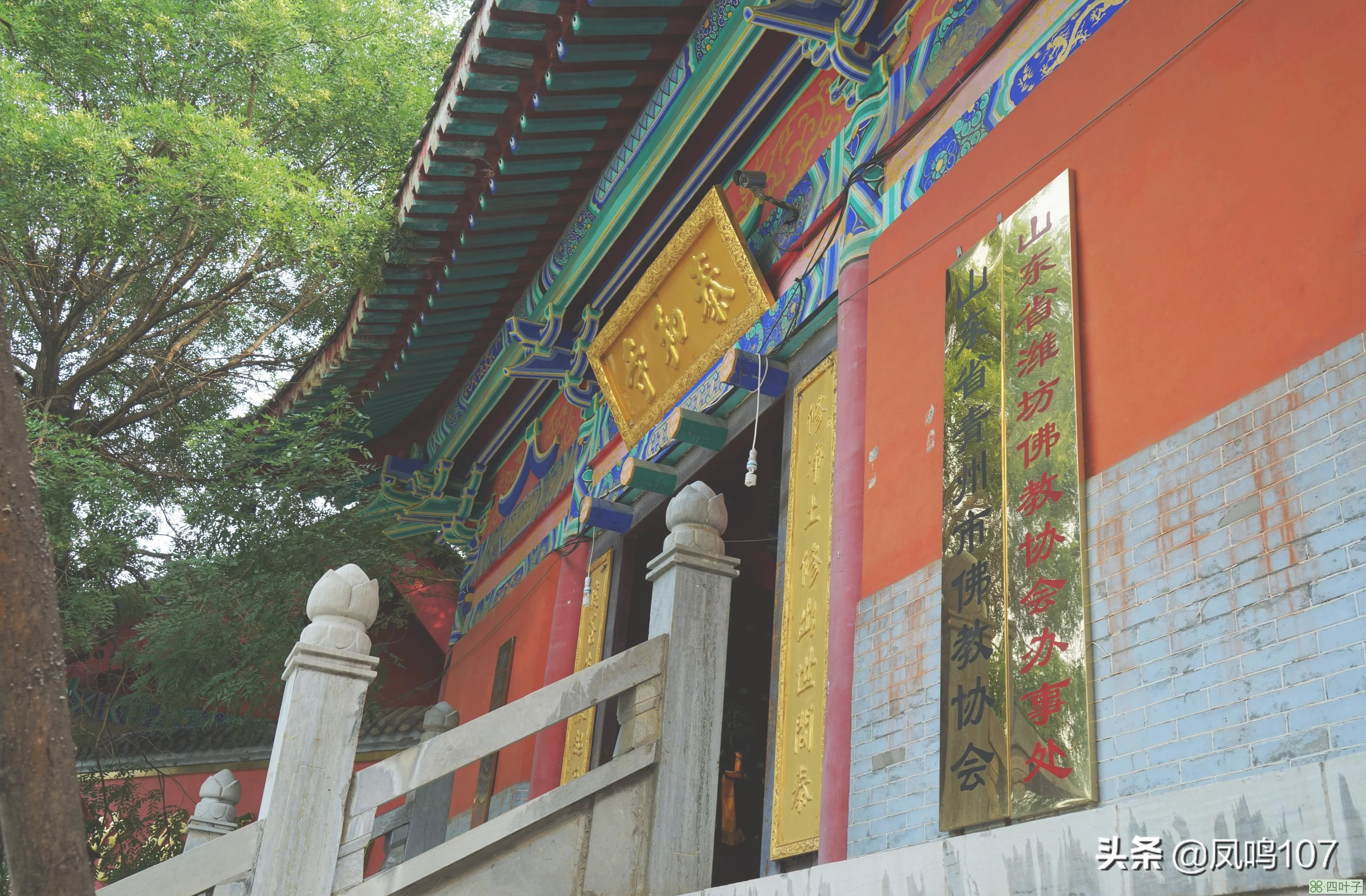 青州黄花溪(青州黄花溪风景区旅游攻略)插图(19)