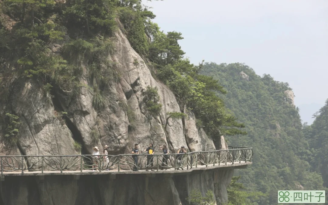 杭州临安：山水揽胜大明山
