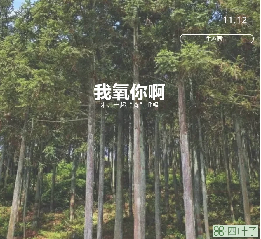 宁德(福建宁德疫情最新情况)