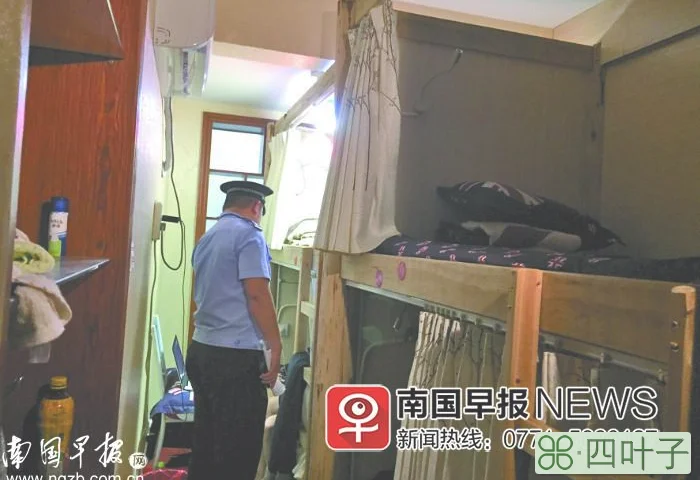 南宁青旅(南宁有什么好的旅行社)