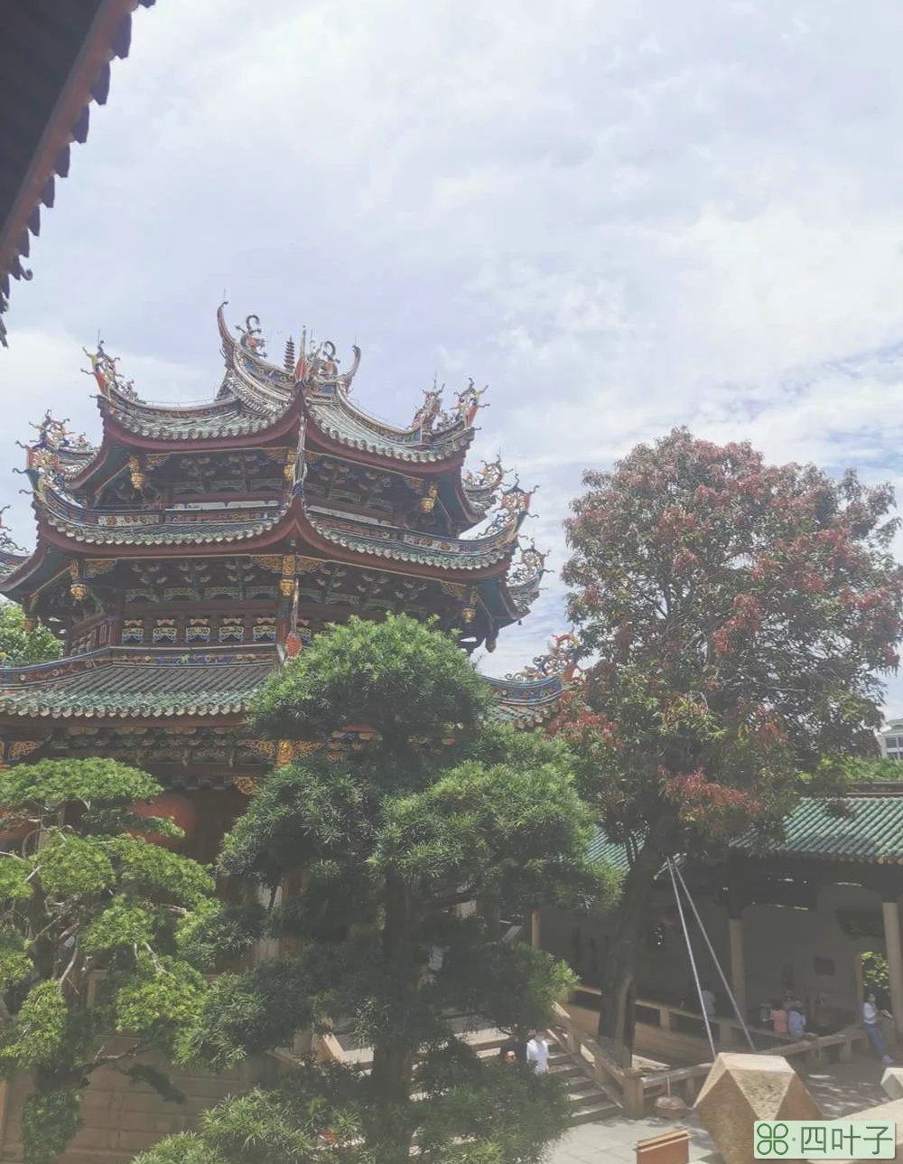 厦门旅游攻略，第一次去厦门，一定要收藏