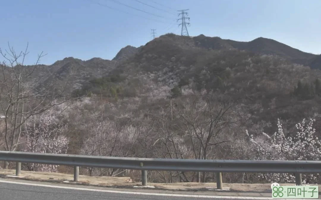 北京：山花烂漫水长城