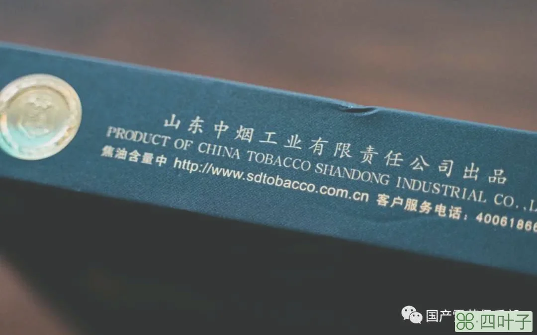 将军6H | 泰山雪茄亲民入门茄