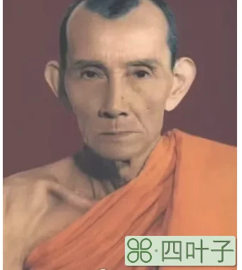 龙婆贵2504一期金属自身简介(2504一期自身功效及介绍)