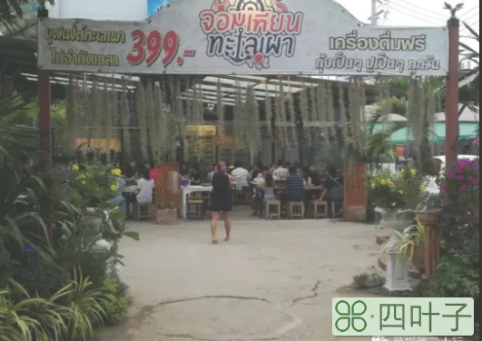 芭提雅哪里的海鲜最好吃(芭提雅海