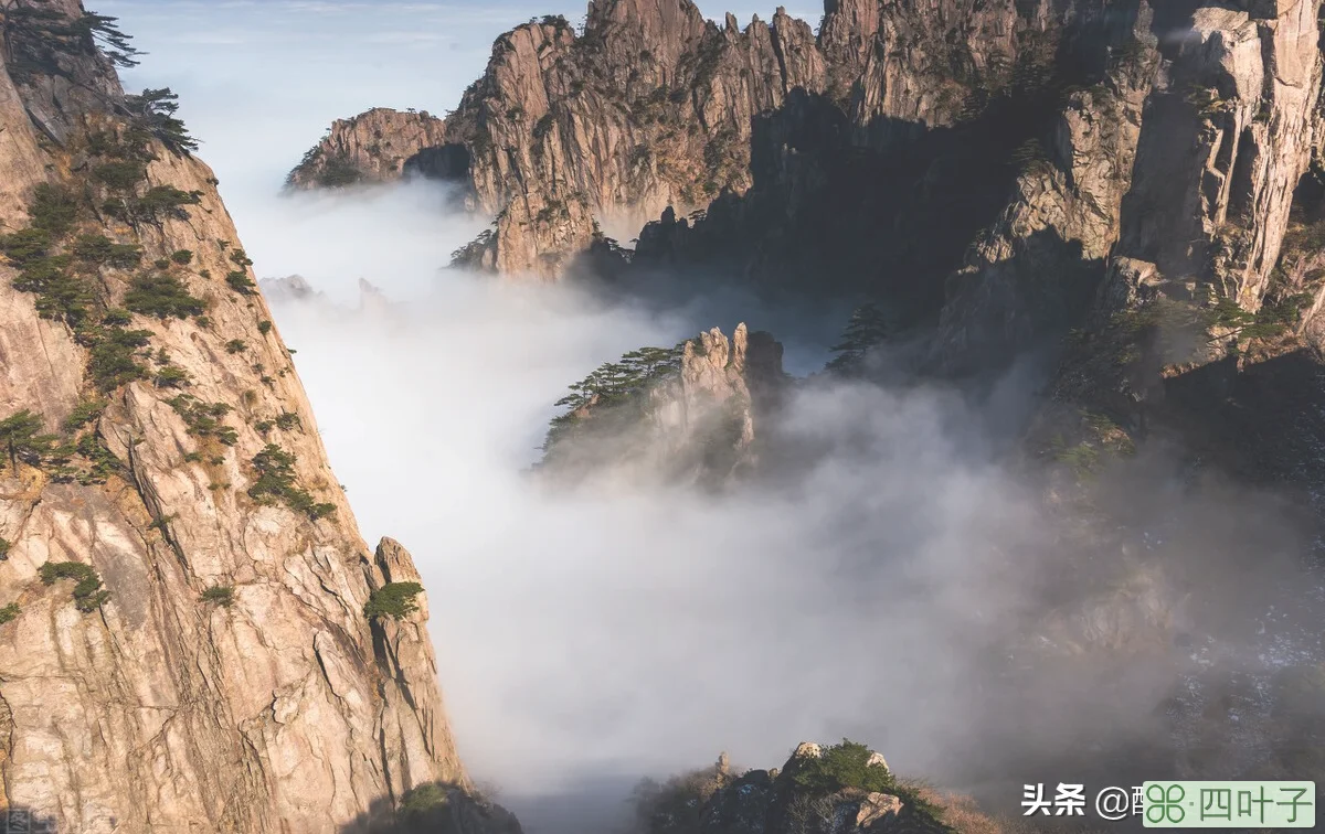 两日一夜游黄山，5个最佳景点美轮美奂，适合结伴游玩