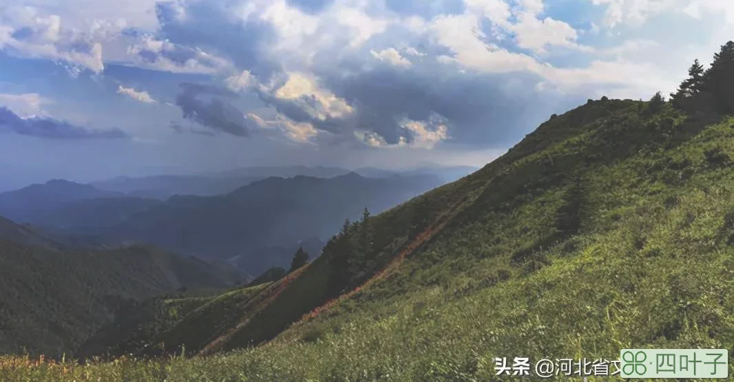 烟波云幔、花草幽香、林荫小路，就在驼梁！
