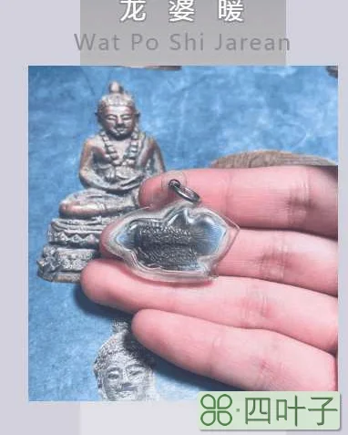 龙婆暖一期斗鱼怎么样(龙婆暖一期