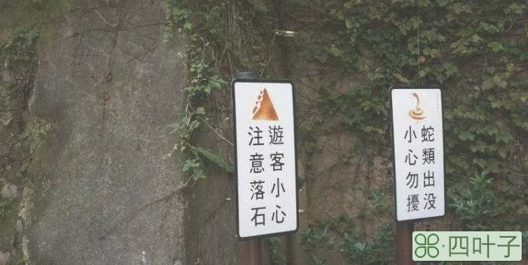 台湾省桃园出发4个自驾游景点攻略推荐