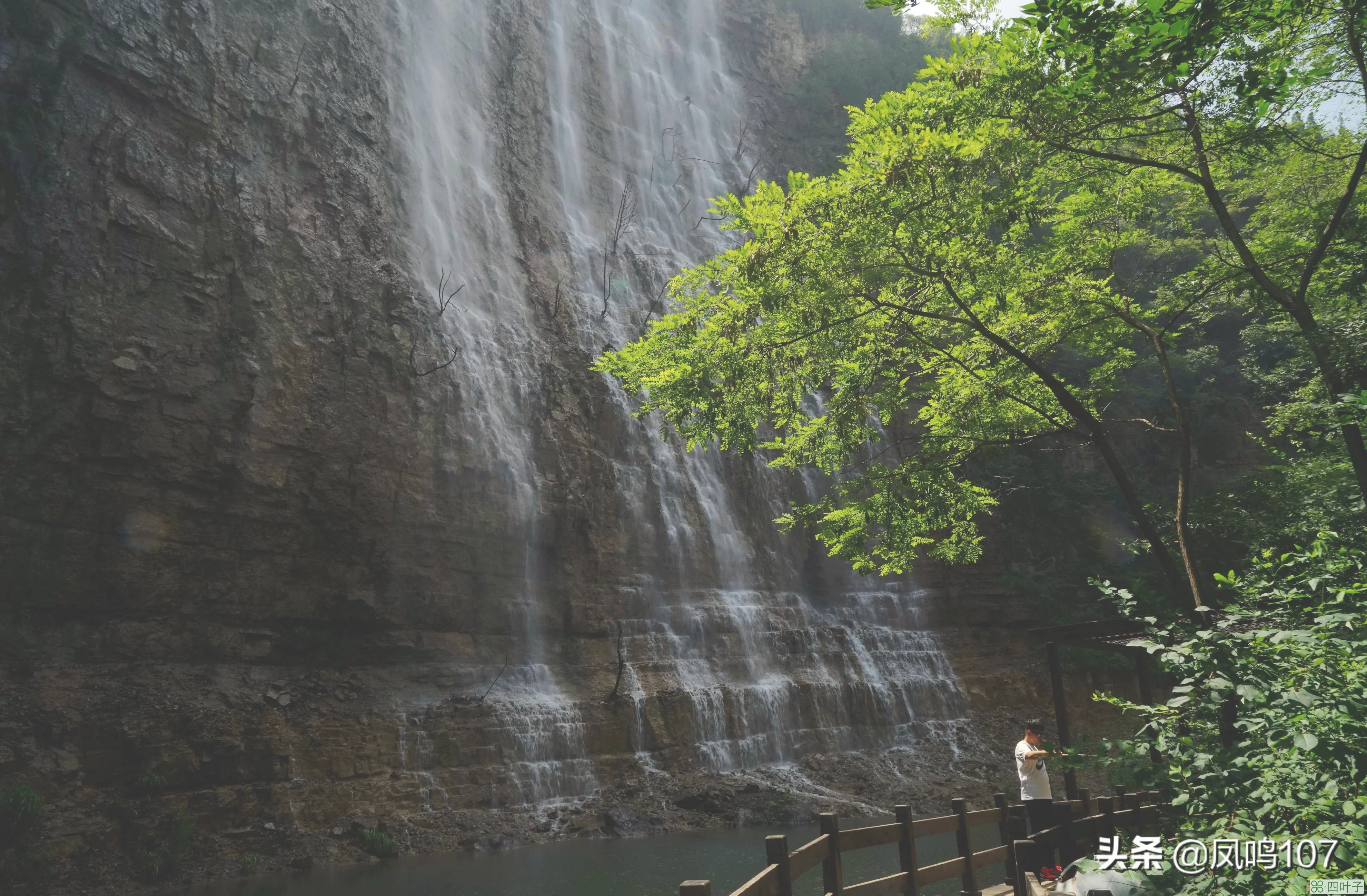 青州黄花溪(青州黄花溪风景区旅游攻略)插图(8)